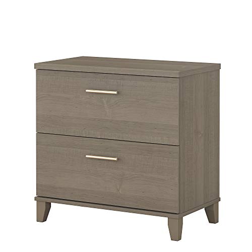 Bush Furniture Archivador lateral de 2 cajones Somerset