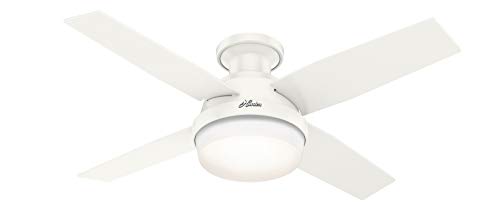 Hunter Fan Company Hunter Dempsey Ventilador de techo d...